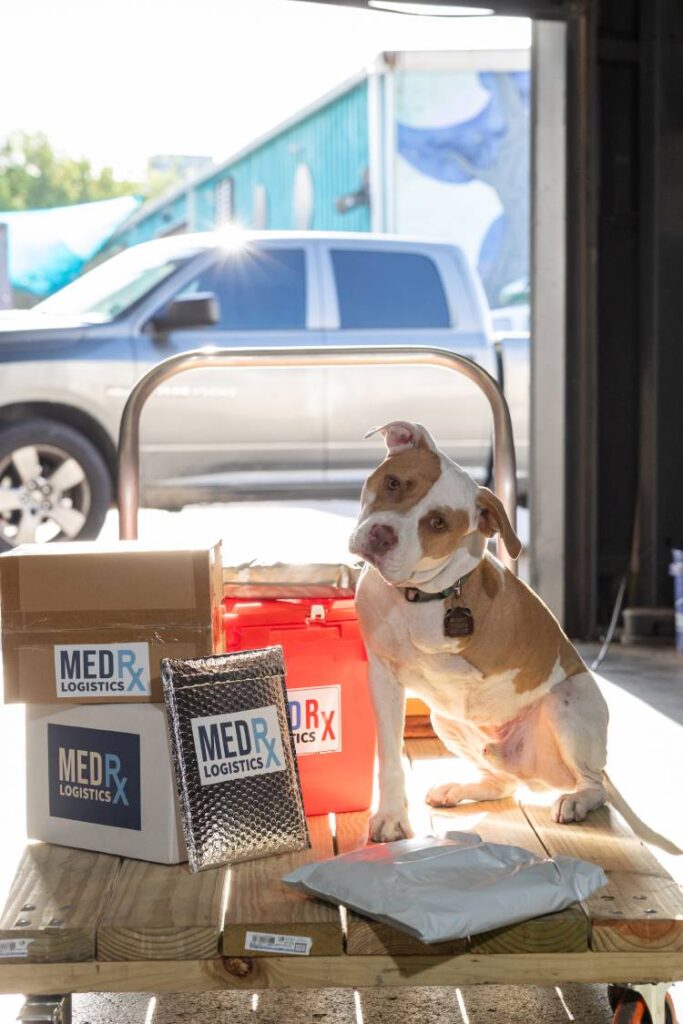 Trip the Rescue Dog Supervising the MedRx Logistics Team